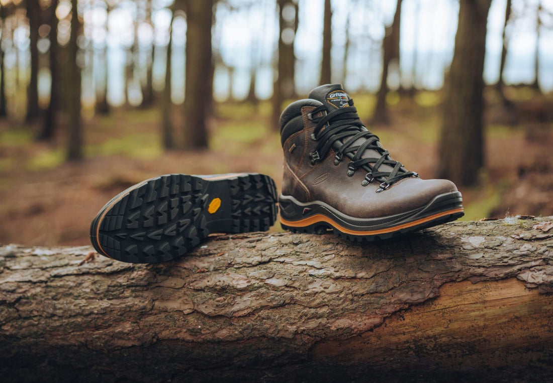 walking boots vs walking shoes