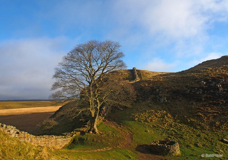 Hadrian's wall
