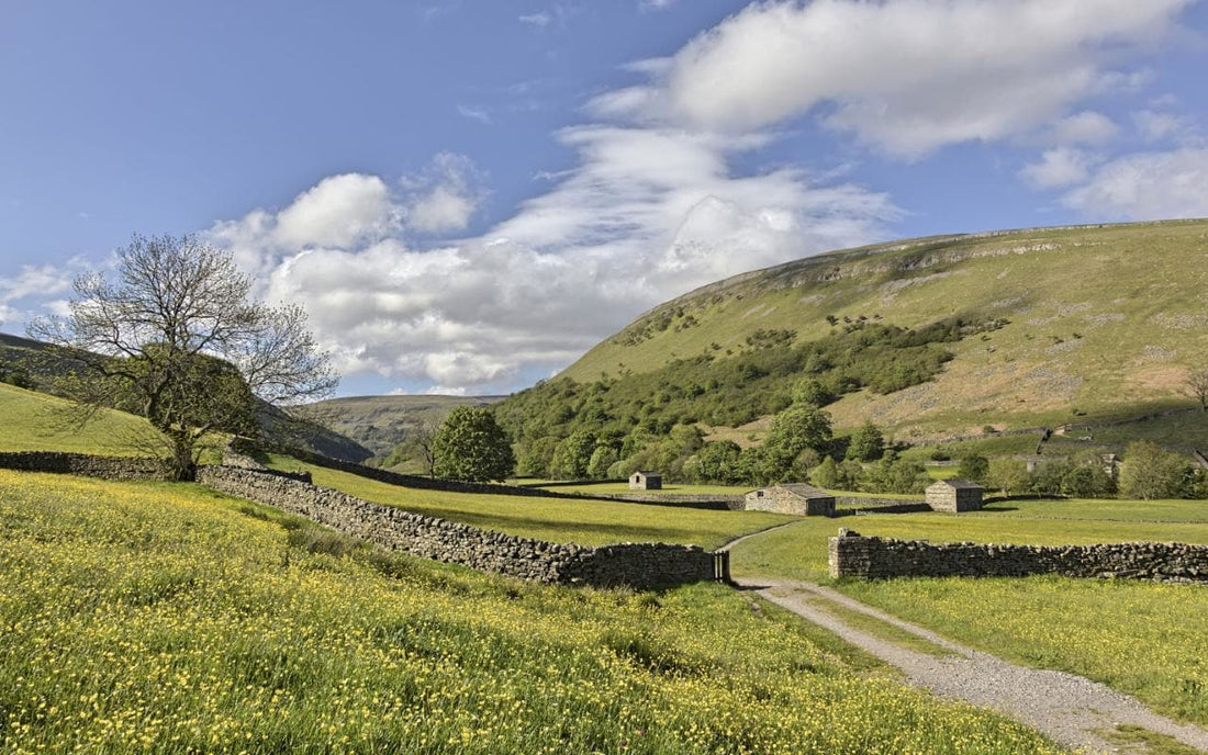 upper wharfedale