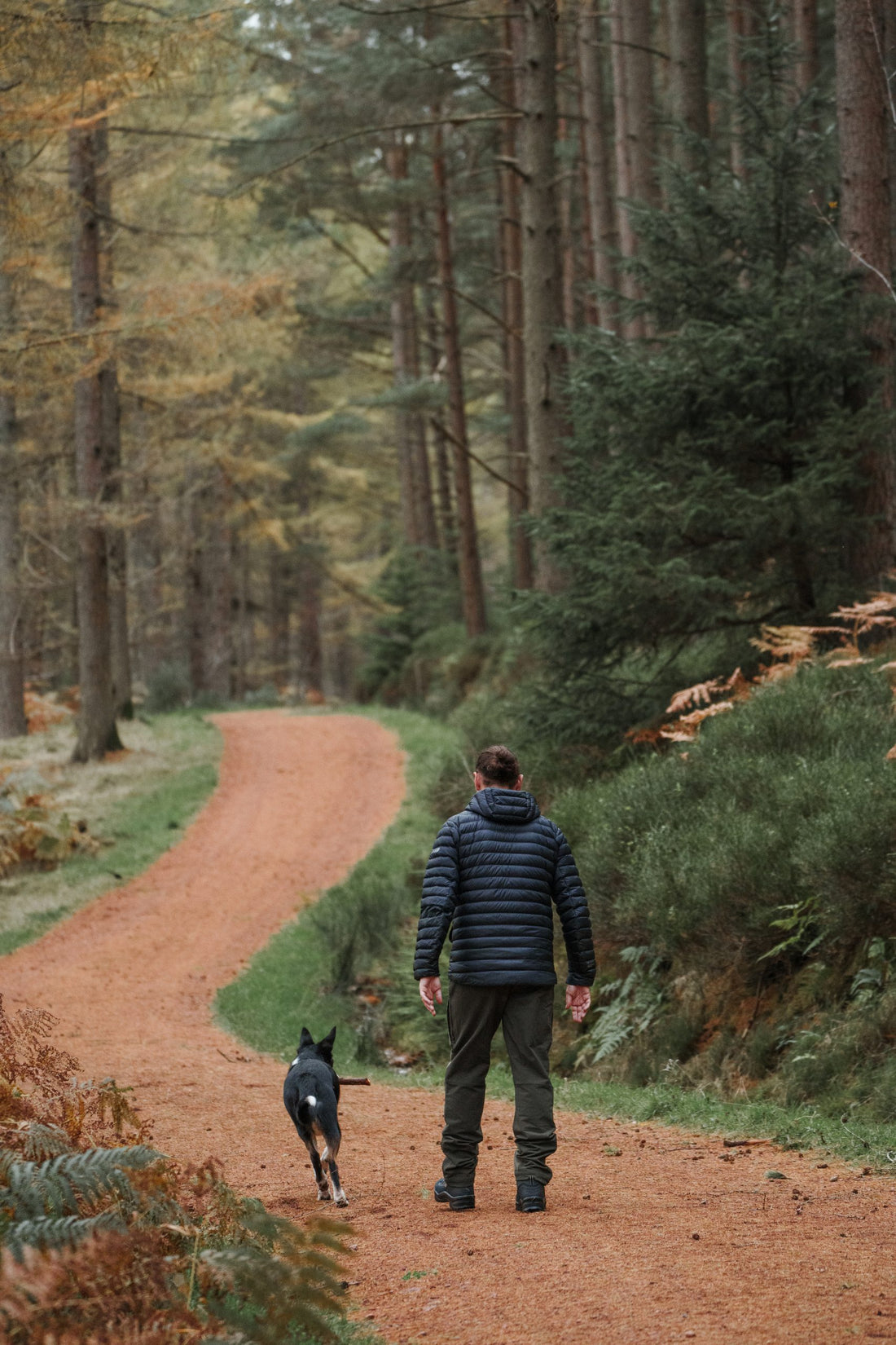 The Best Boots for Dog Walks: Comfort, Durability, and Style