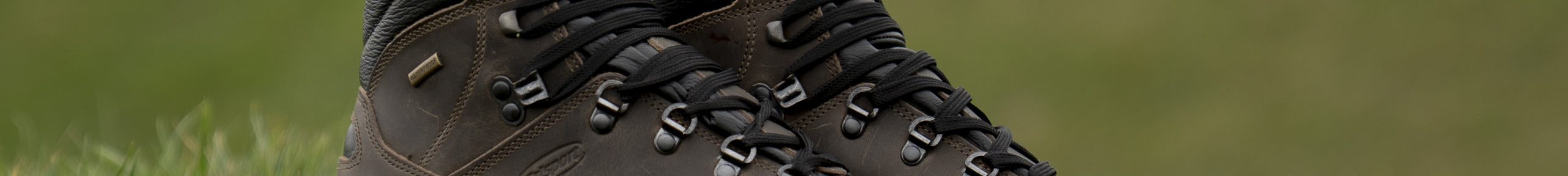 Lazy Dogz