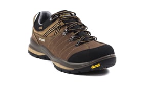Rogue Trekking Shoe