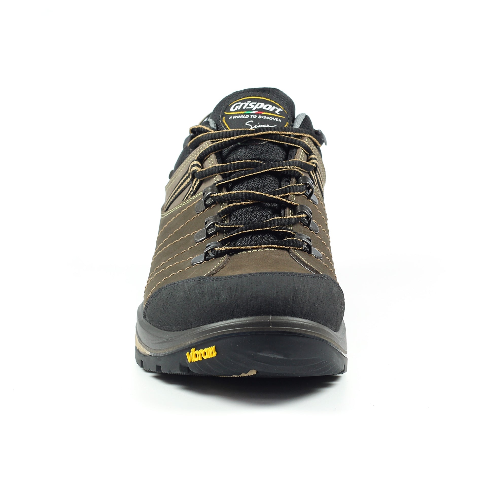 Rogue Trekking Shoe