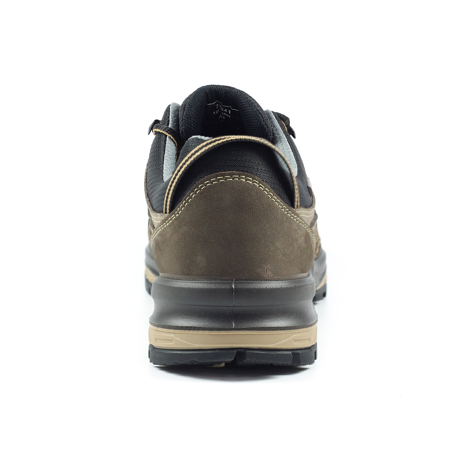 Rogue Trekking Shoe