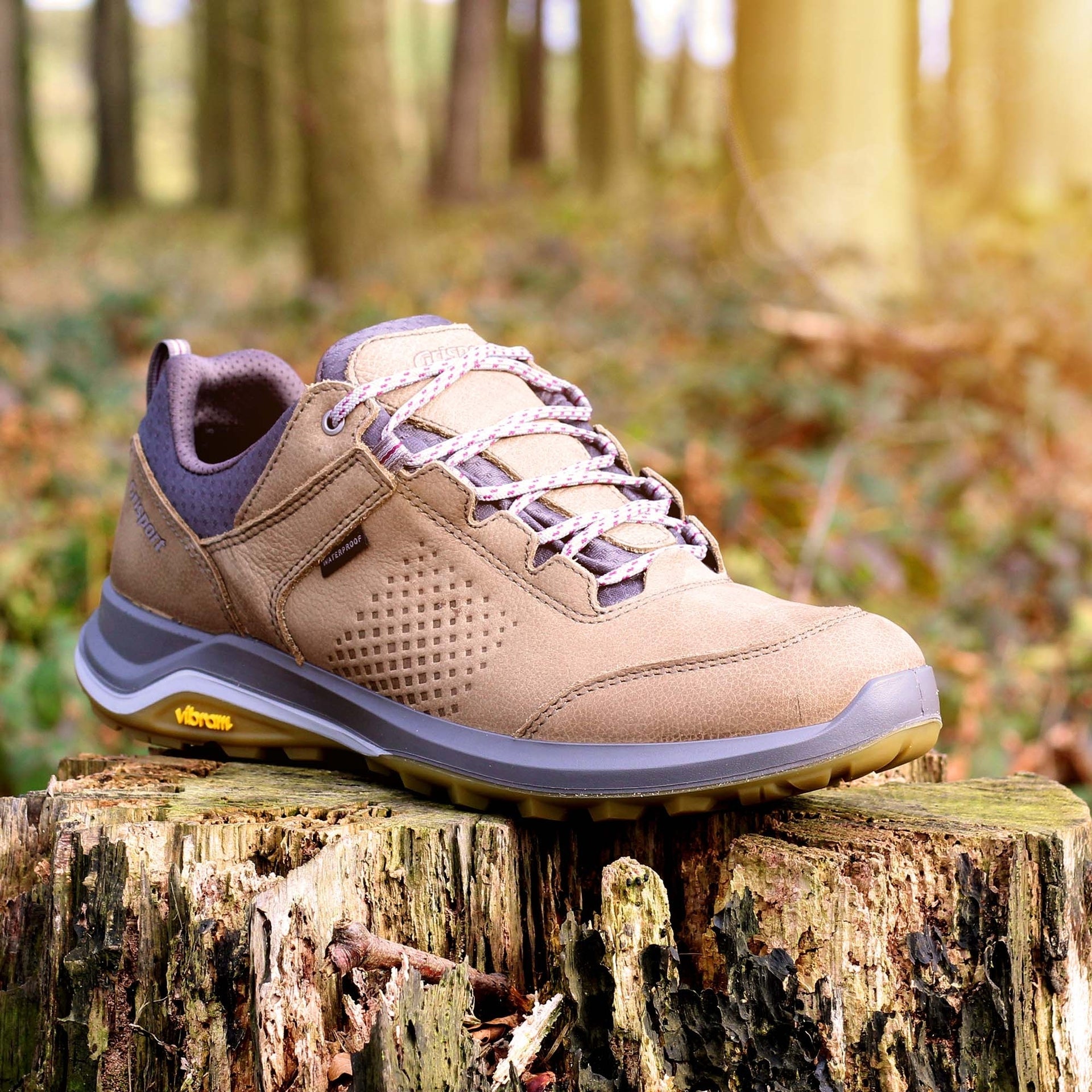 Icarus Walking Shoe