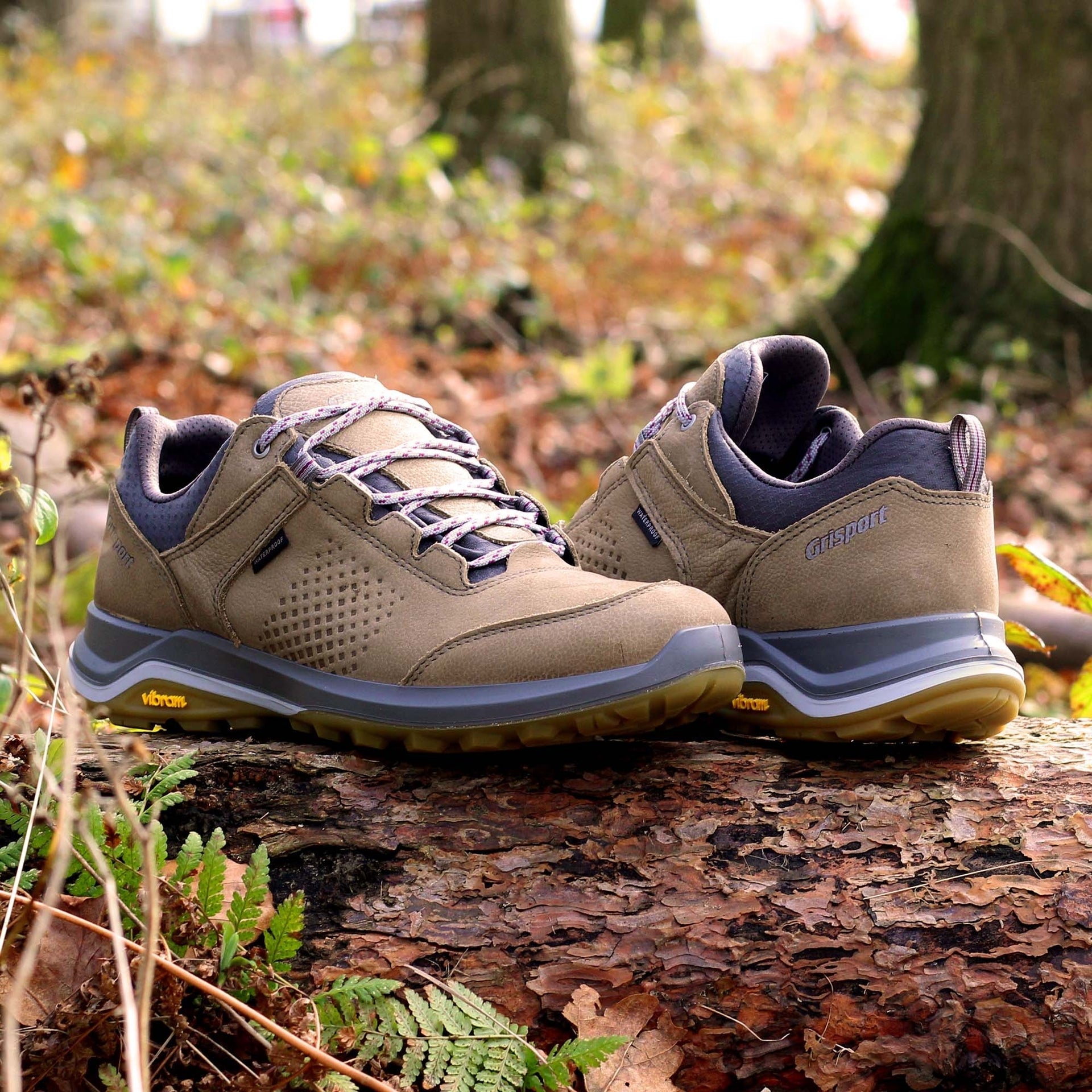 Icarus Walking Shoe