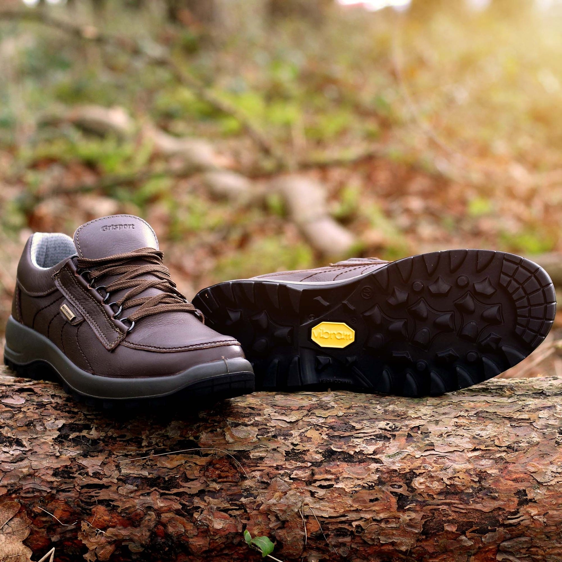 Kielder Walking Shoe