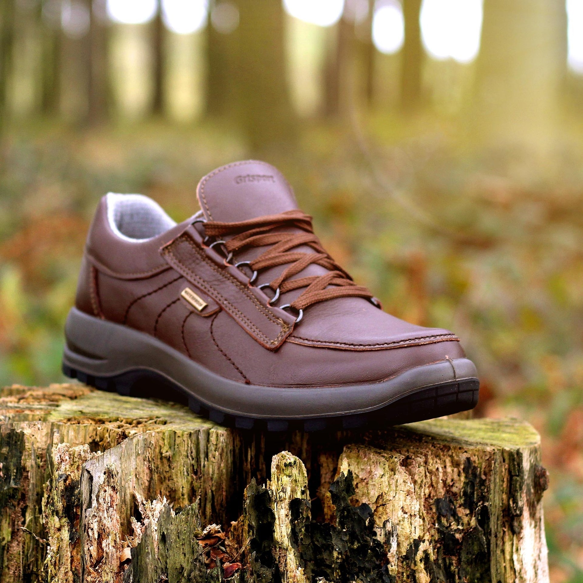 Kielder Walking Shoe