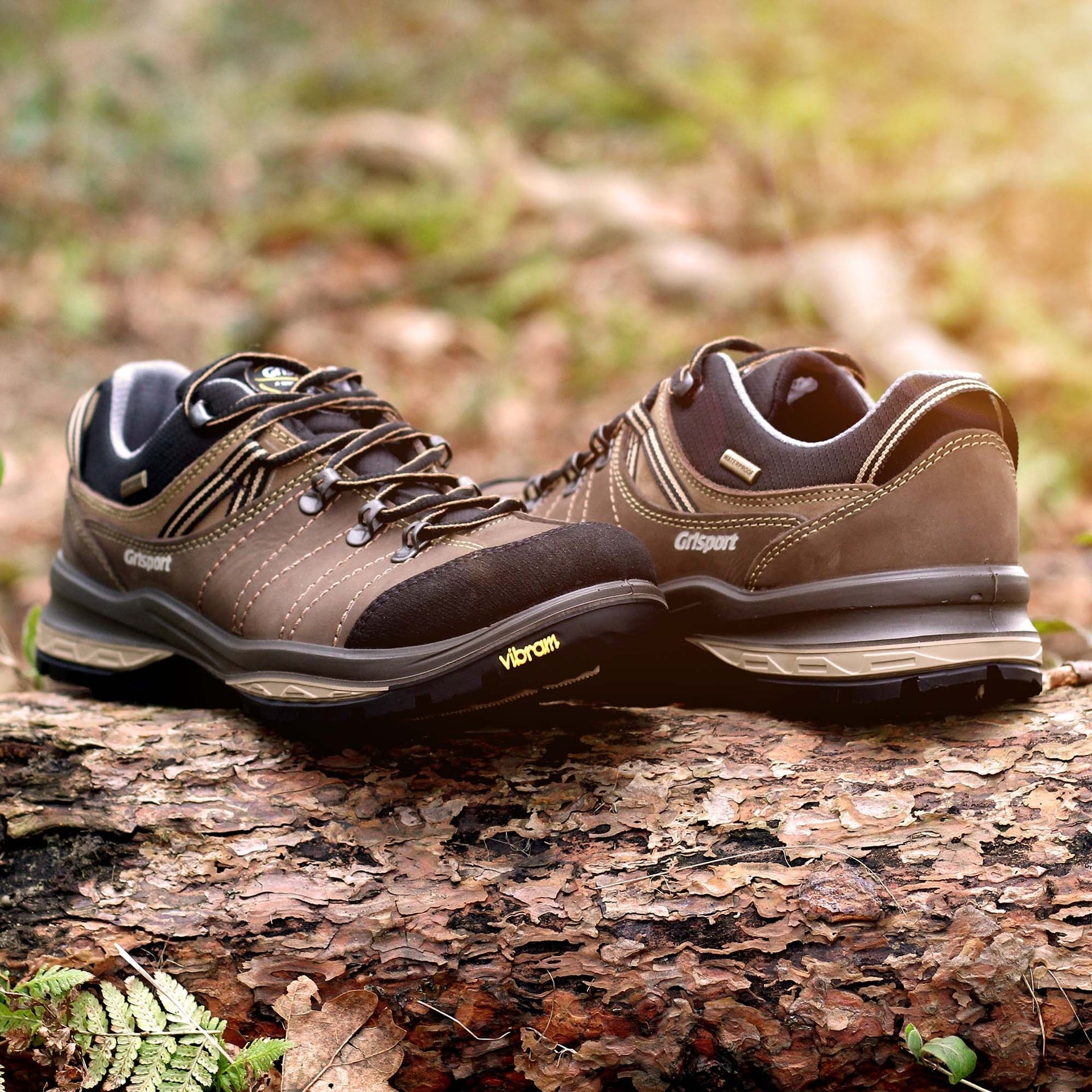 Rogue Trekking Shoe