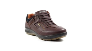 Arran Brown Active Shoe