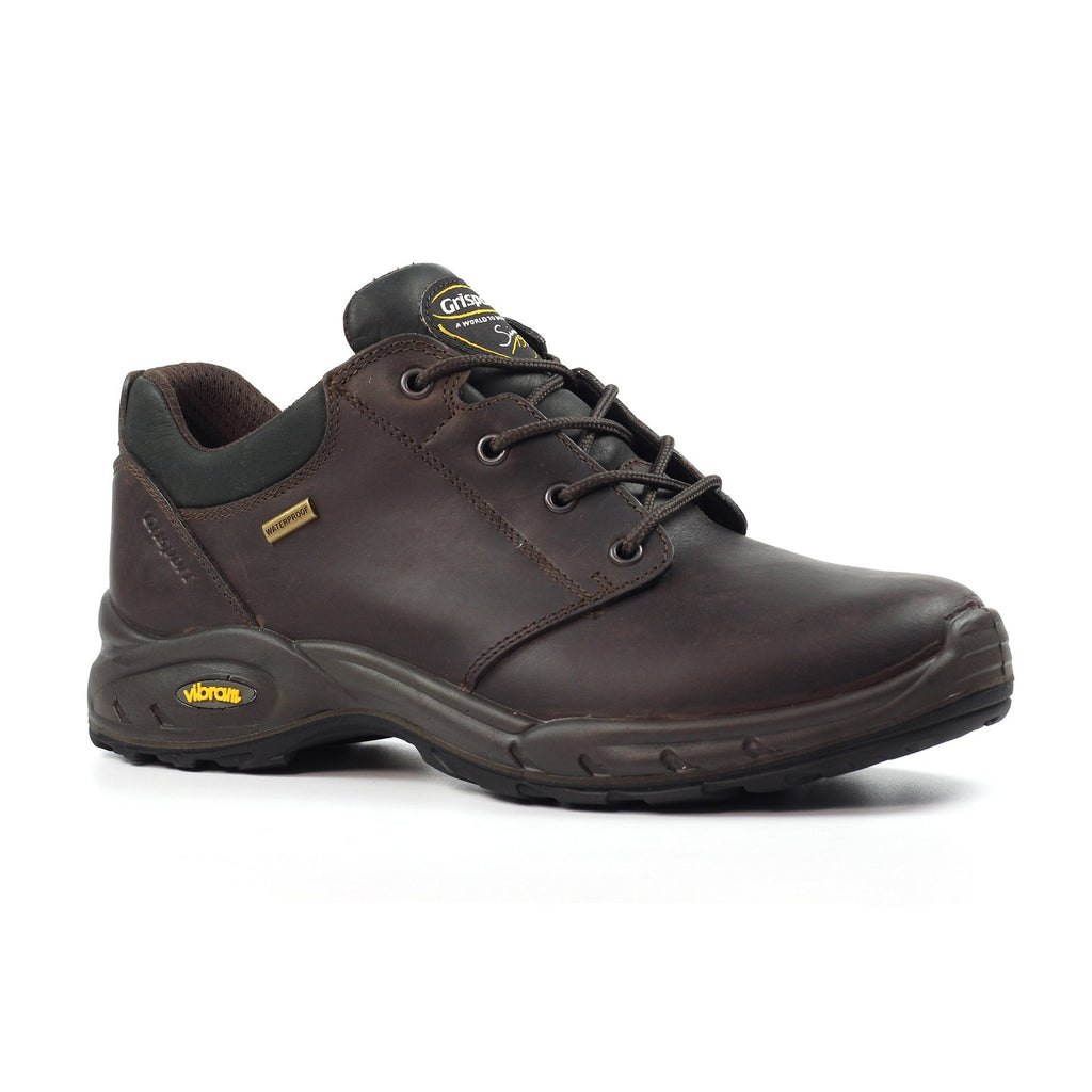 Exmoor II Brown Walking Shoe