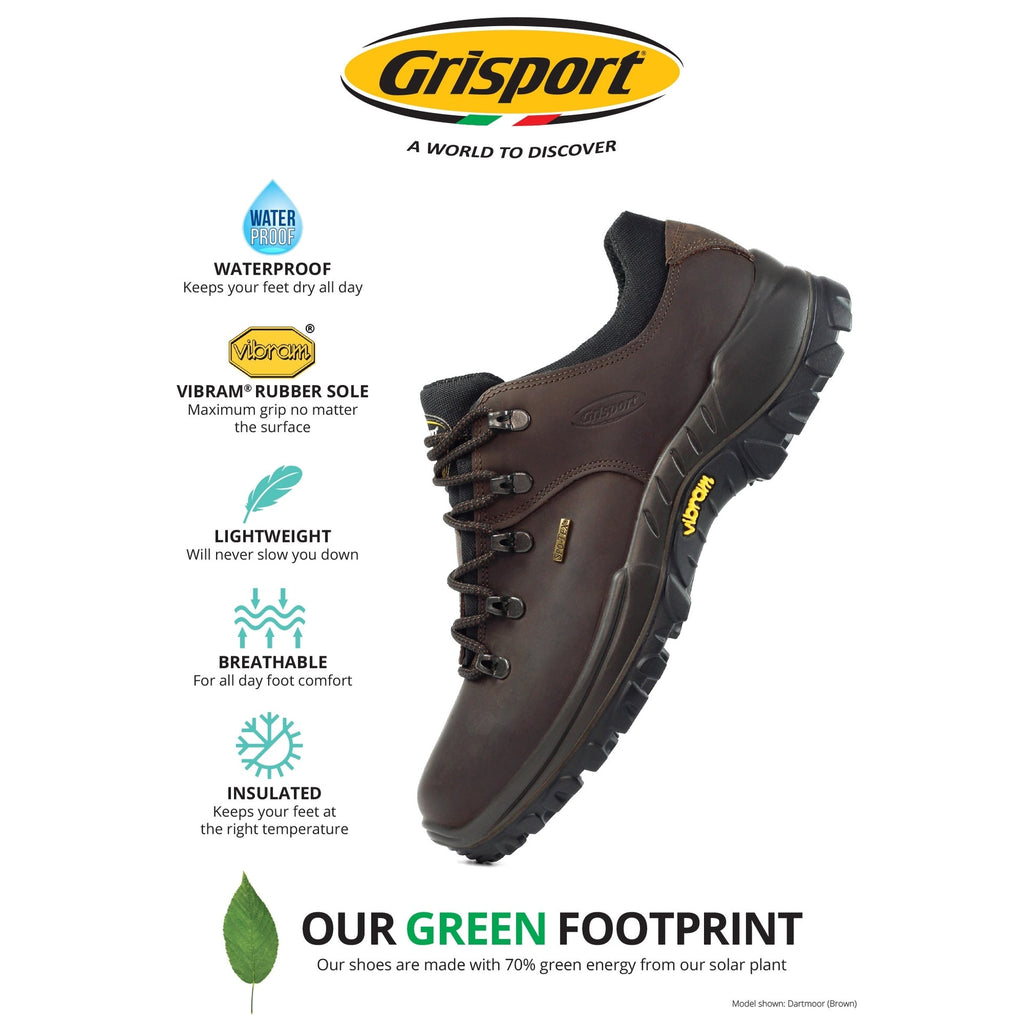 Dartmoor Brown Walking Shoe