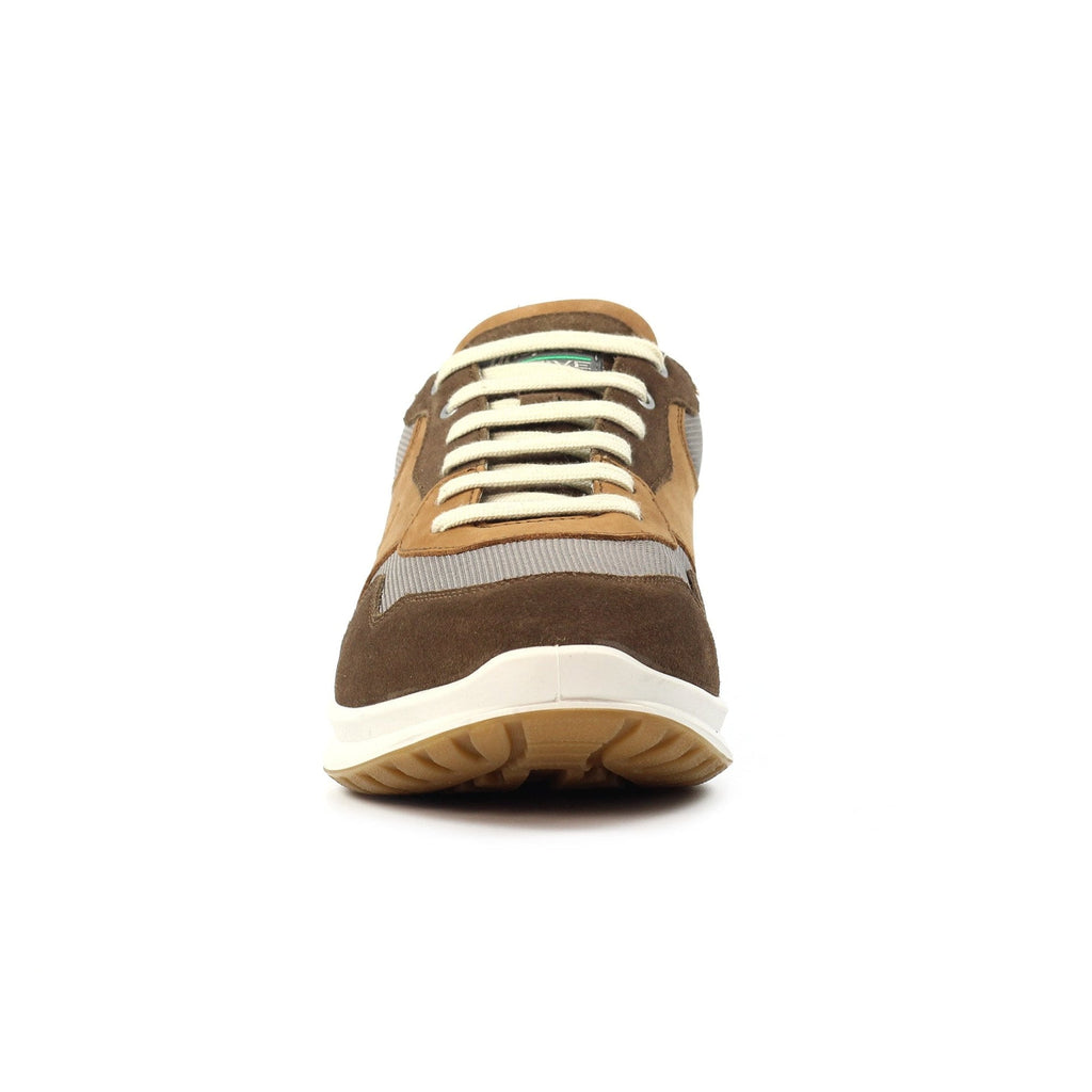 Bradwell Tan Multi Active Shoe