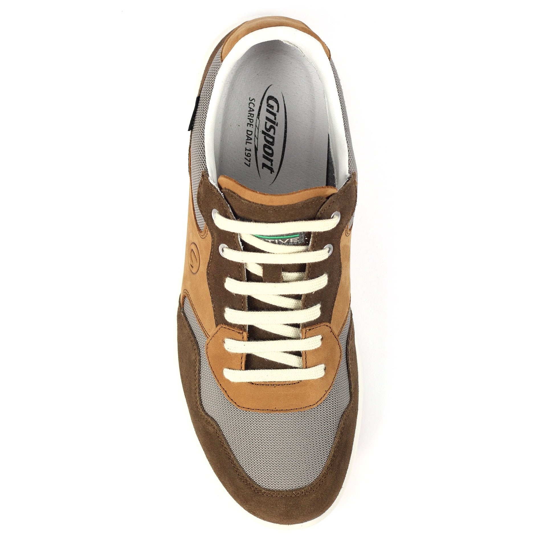 Bradwell Tan Multi Active Shoe