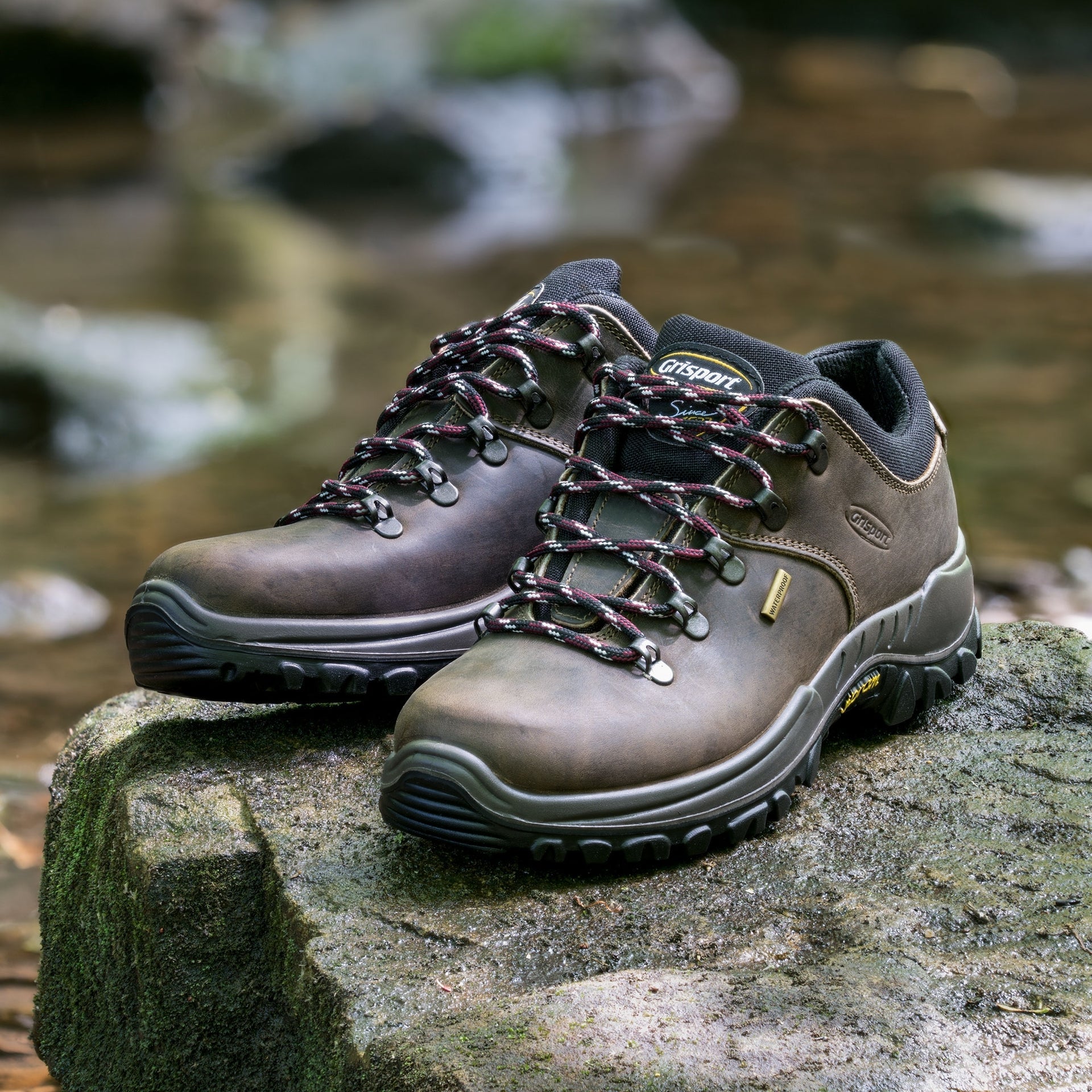 Dartmoor Crazy Horse Walking Shoe
