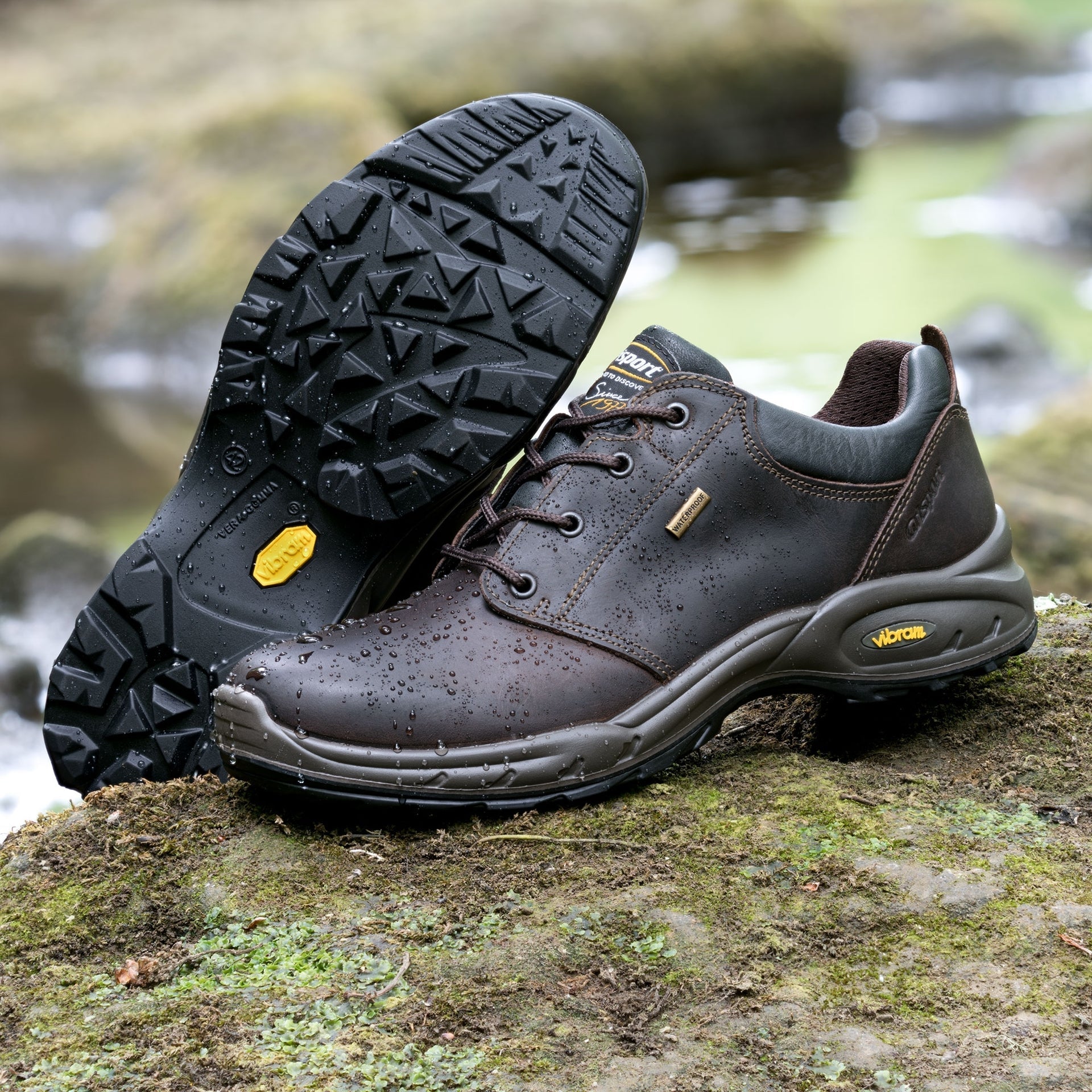 Exmoor II Brown Walking Shoe