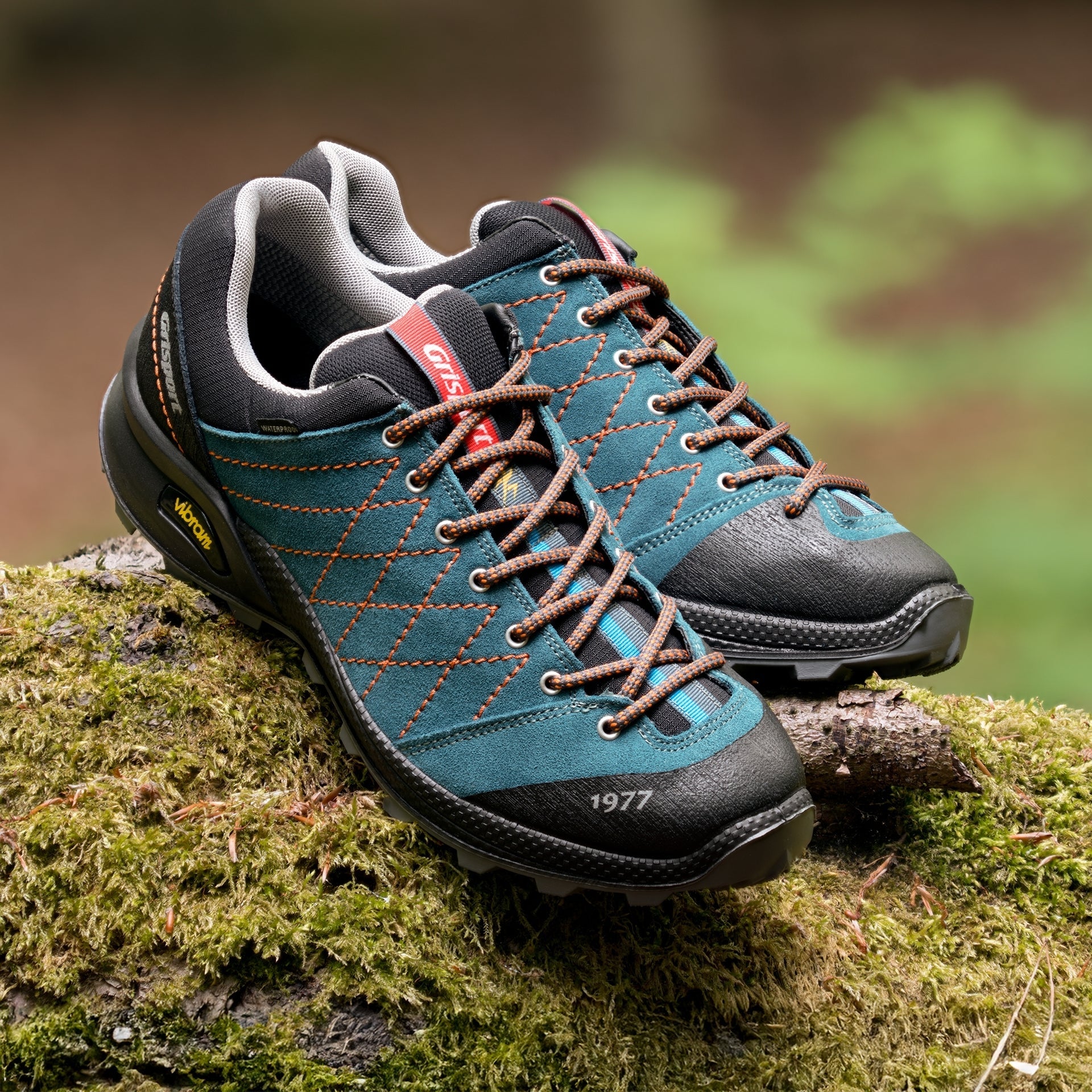 Argon Teal Walking Shoe