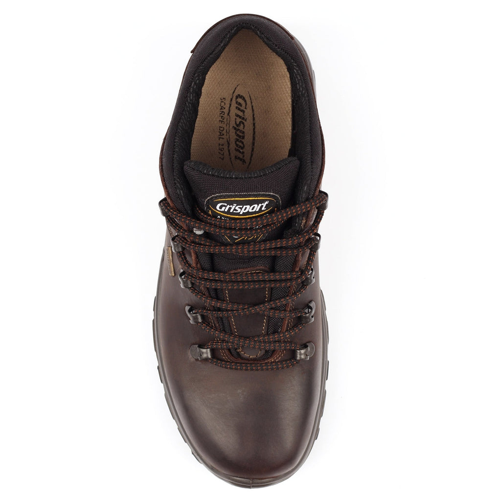 Dartmoor Brown Walking Shoe