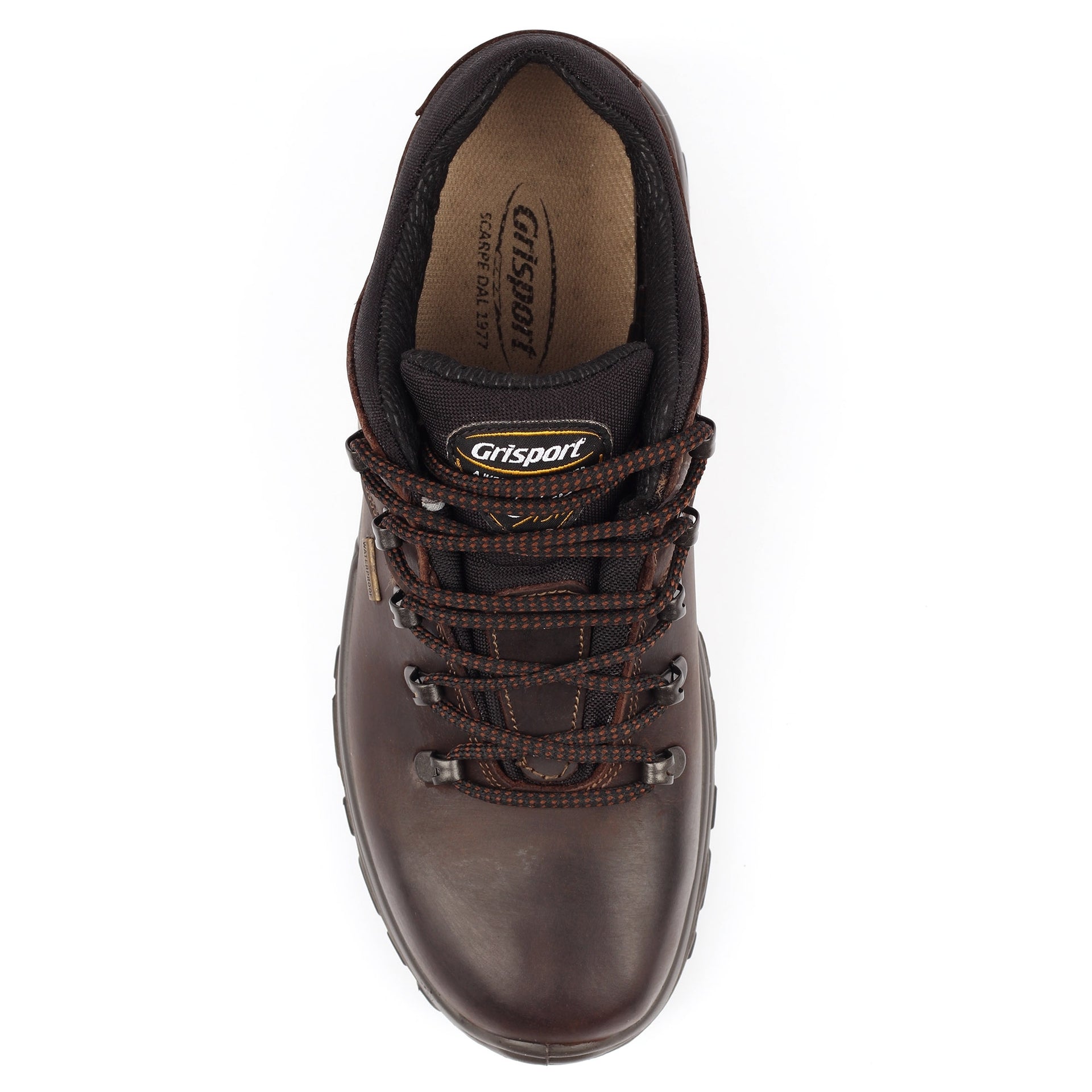 Dartmoor Brown Walking Shoe