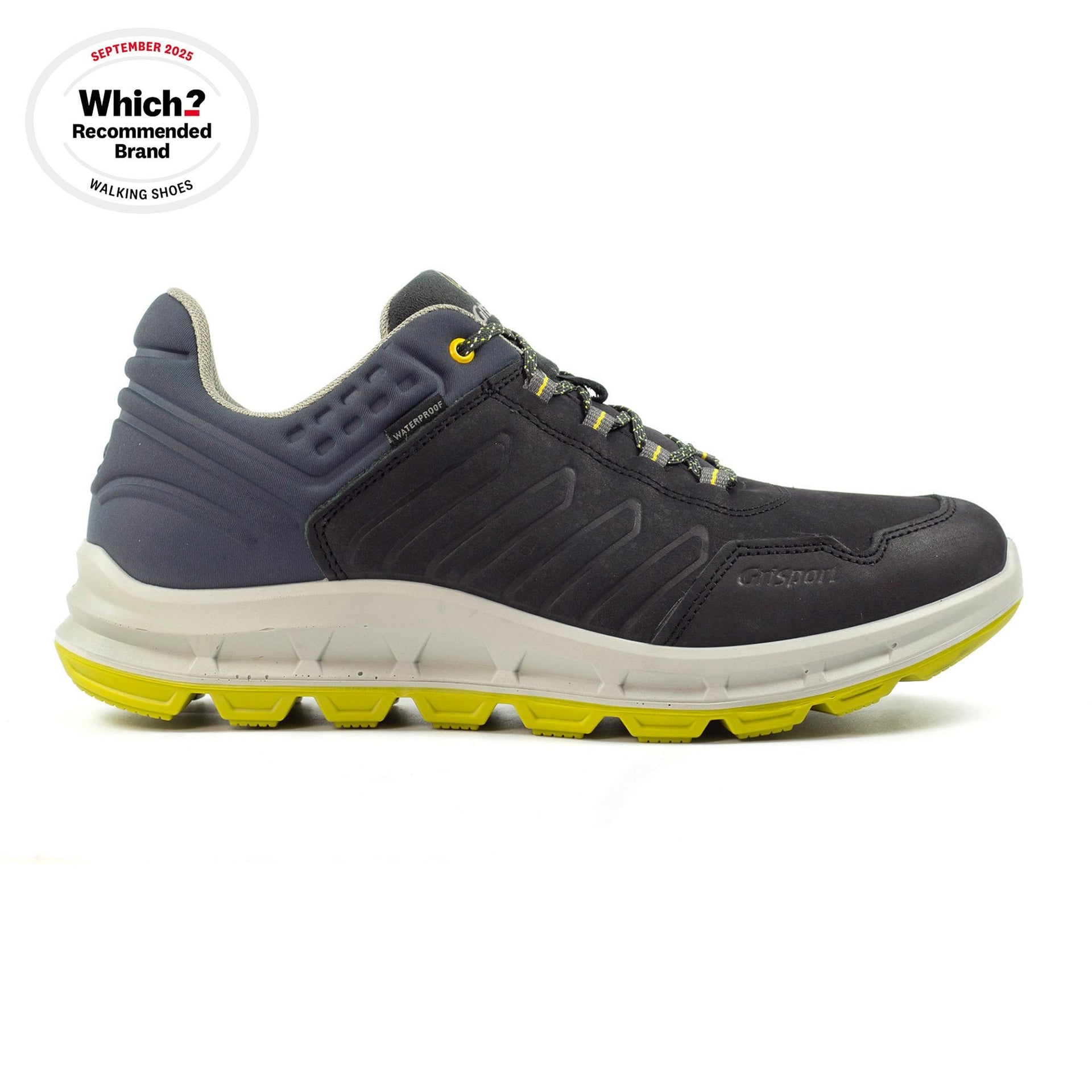 Challenger Blue Walking Shoe