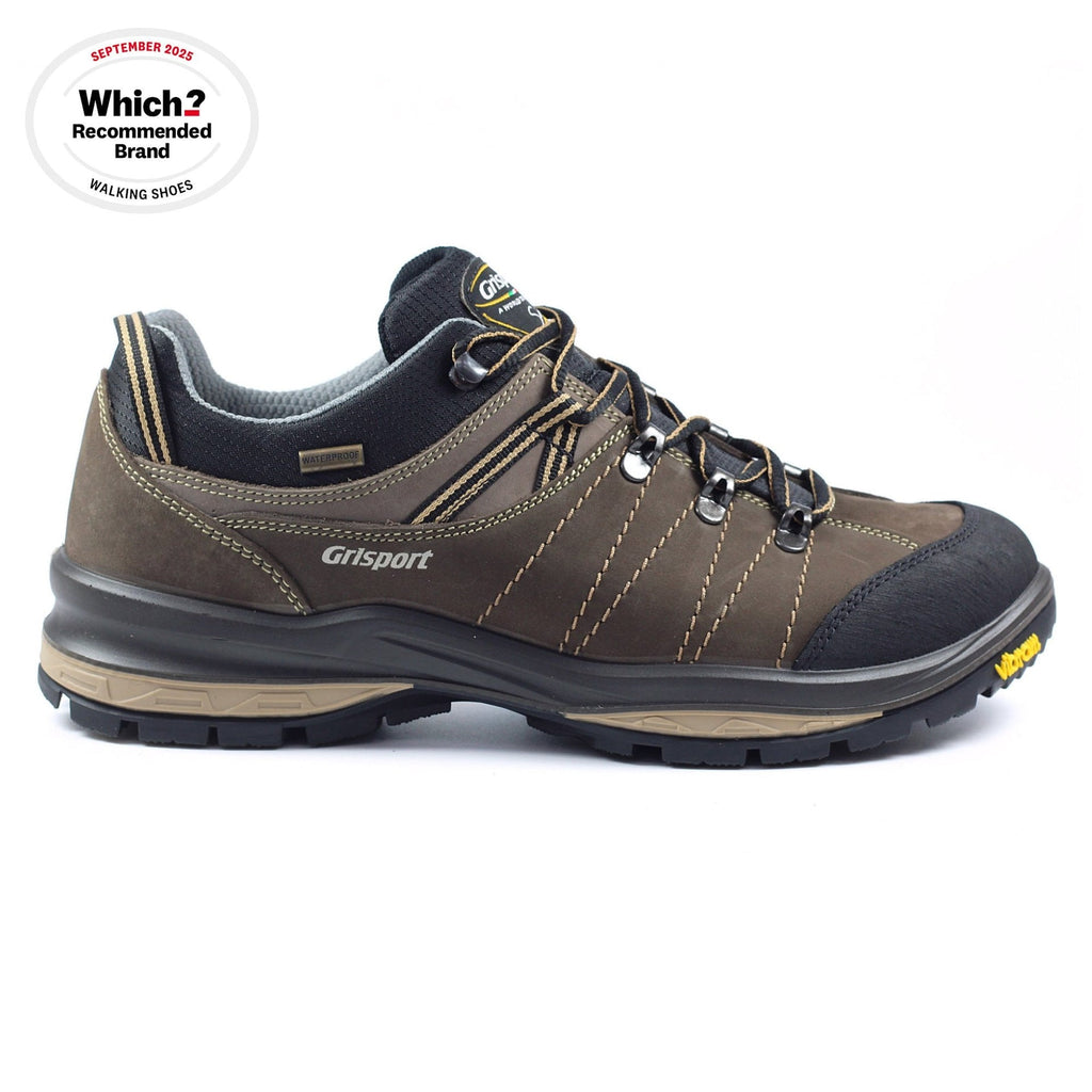 Rogue Trekking Shoe