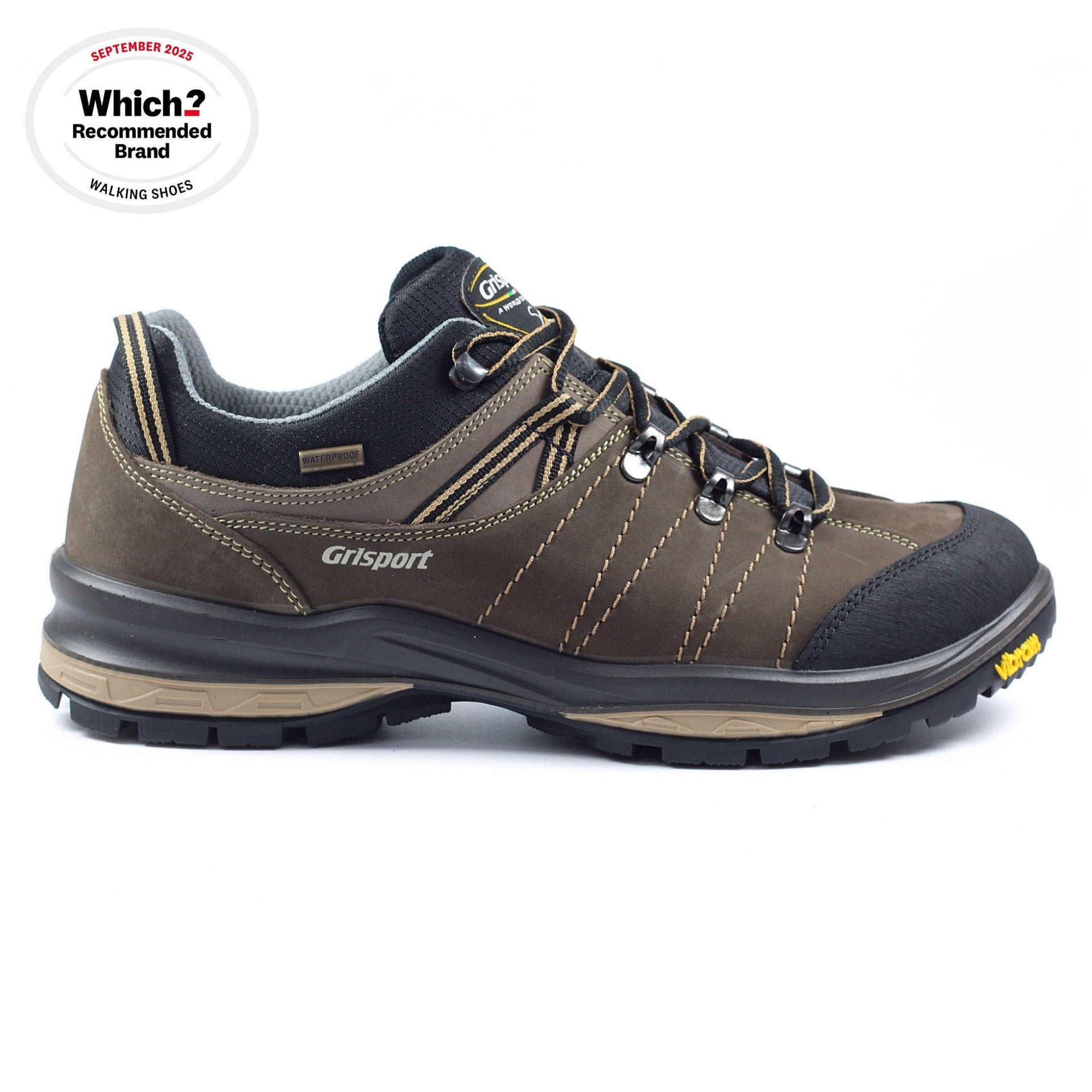 Rogue Trekking Shoe