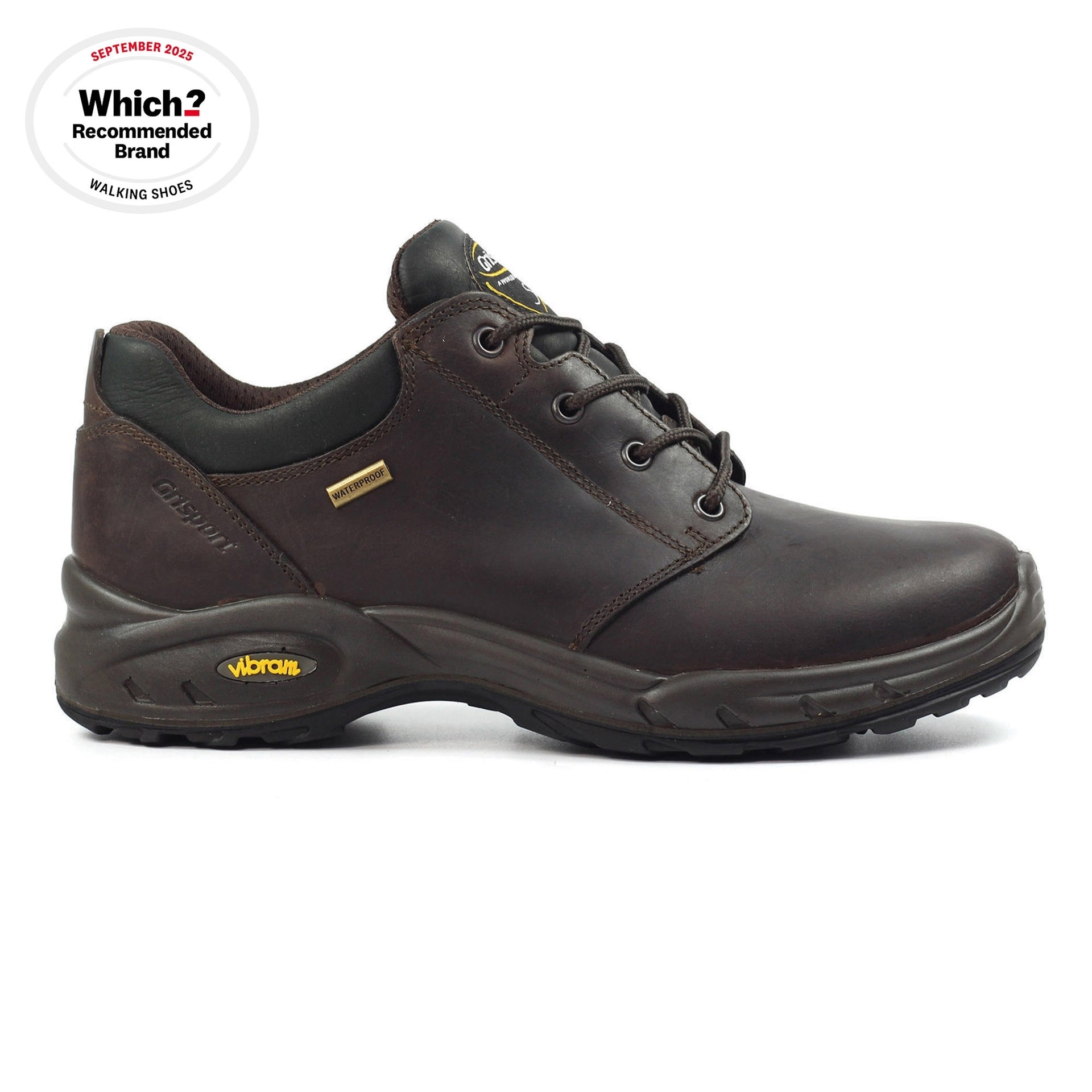 Exmoor II Brown Walking Shoe