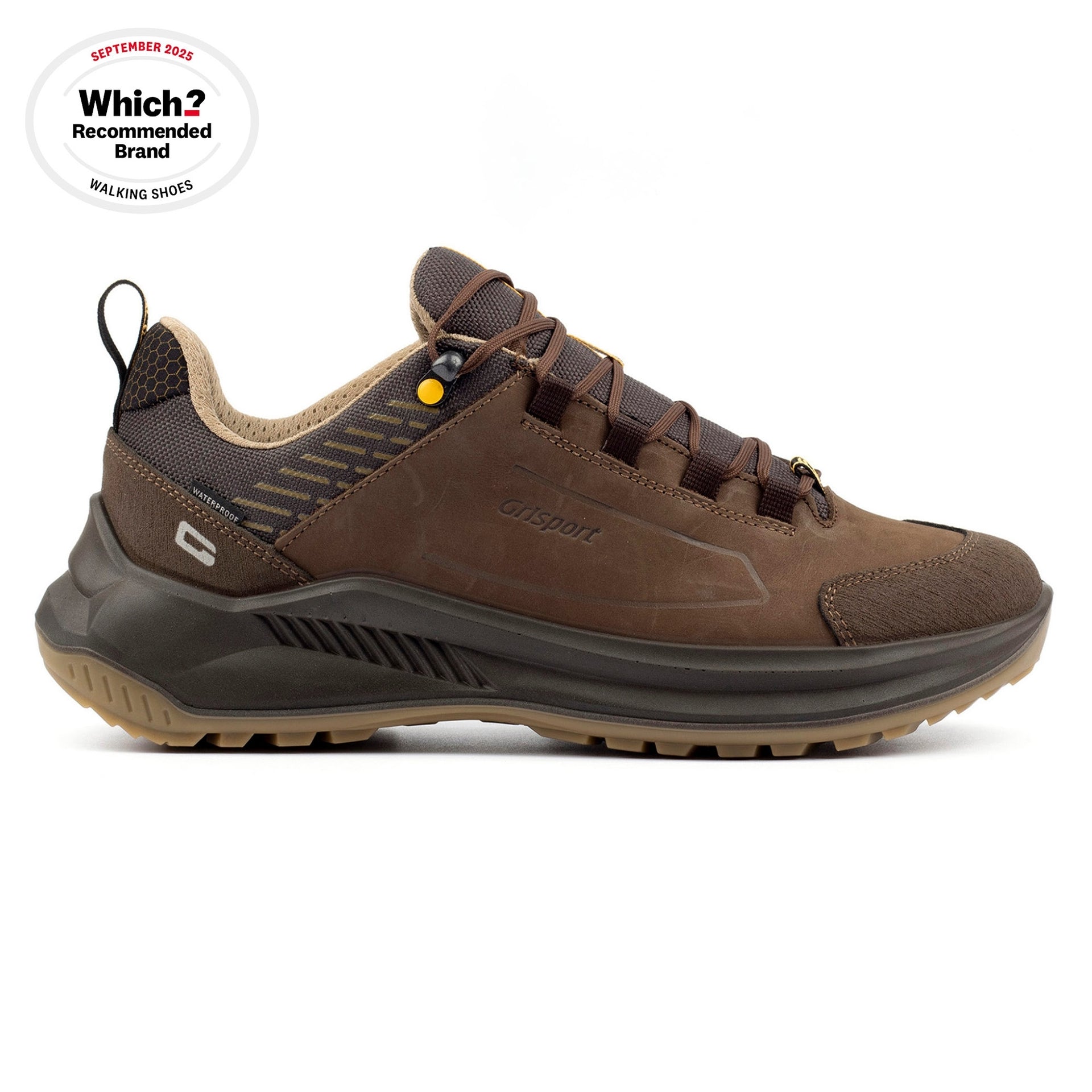 Ridgewalker Brown Walking Shoe