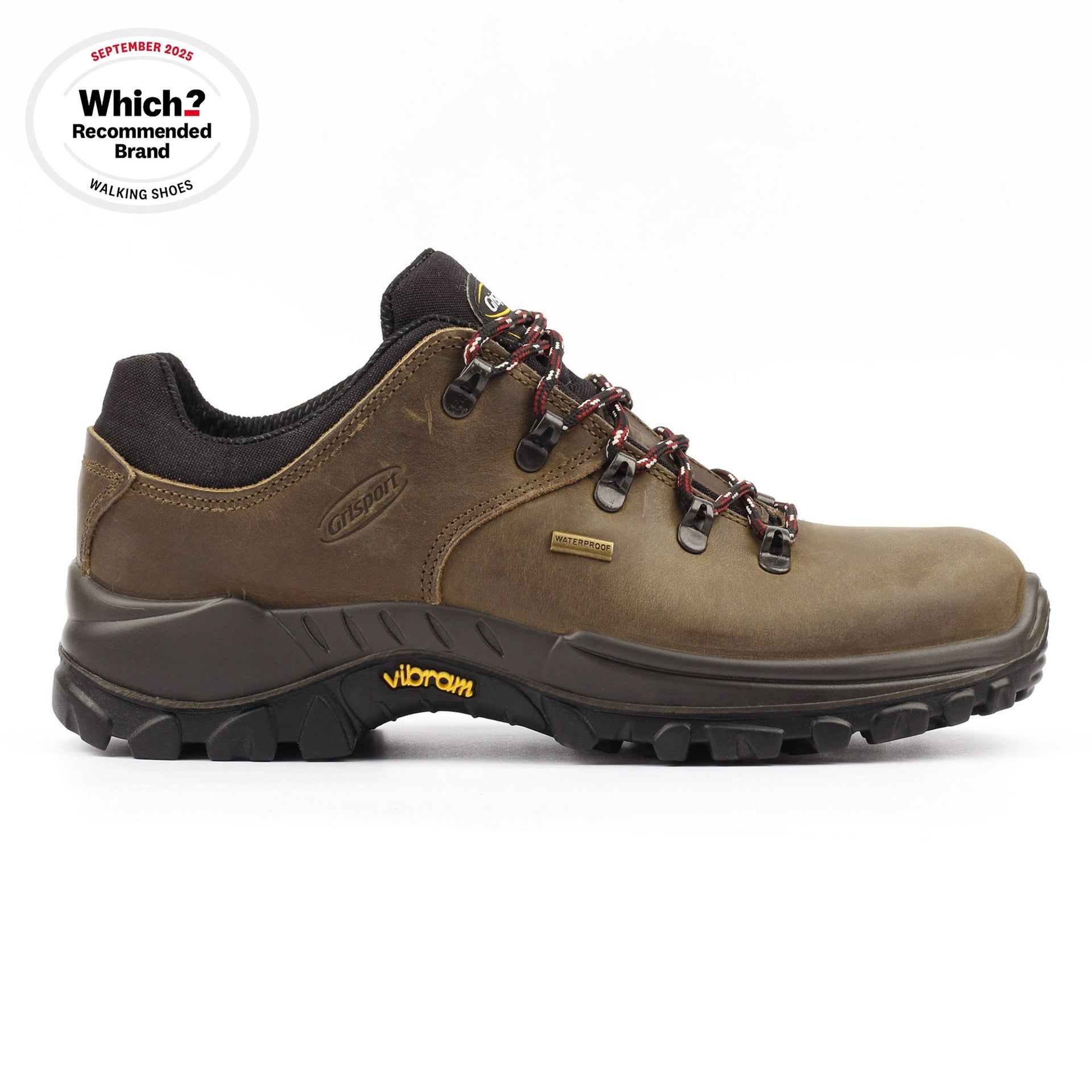 Dartmoor Crazy Horse Walking Shoe