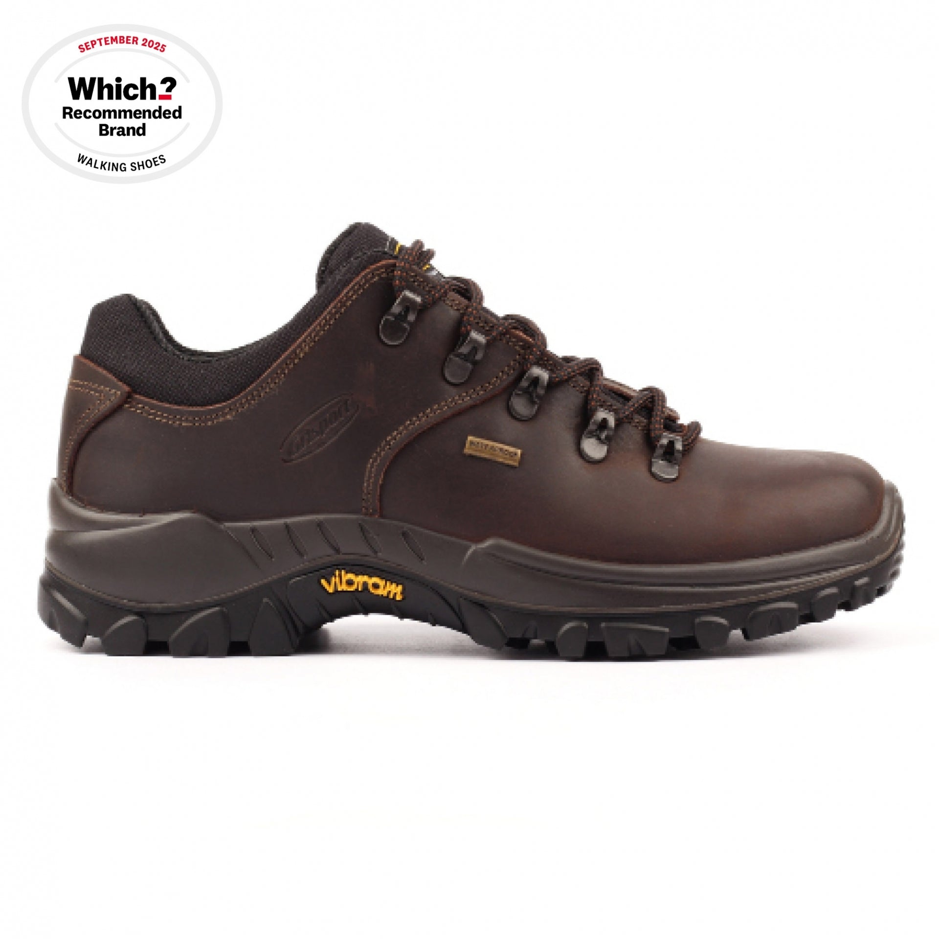 Dartmoor Brown Walking Shoe