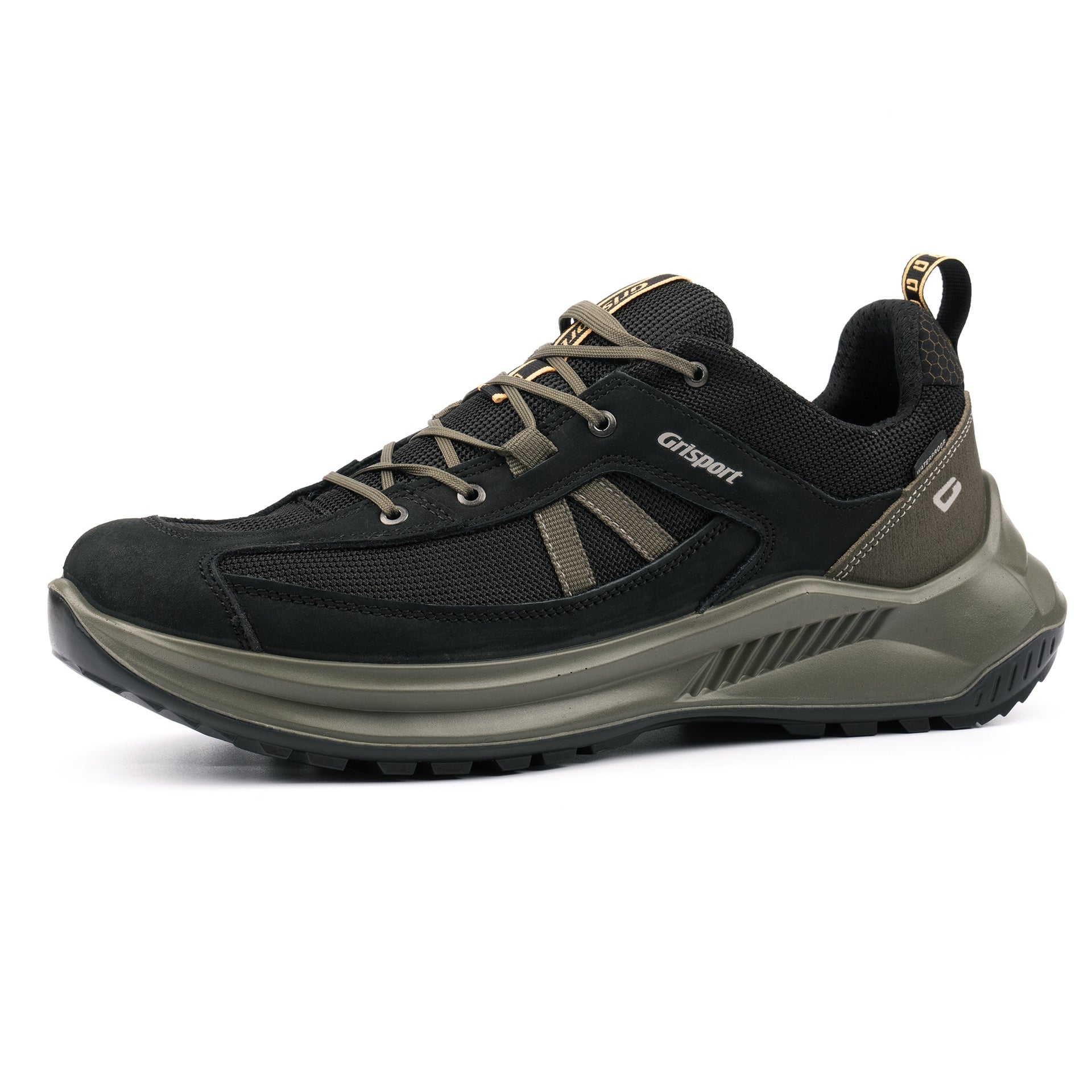 Raven Black Shoe