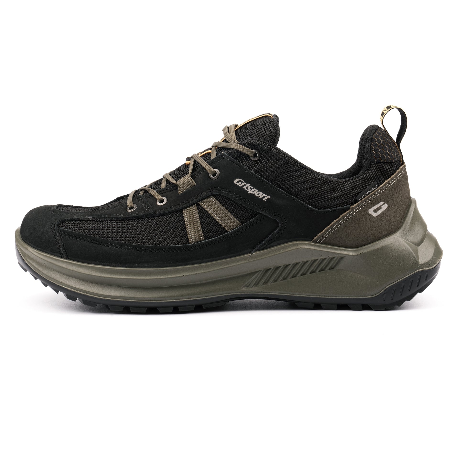 Raven Black Shoe