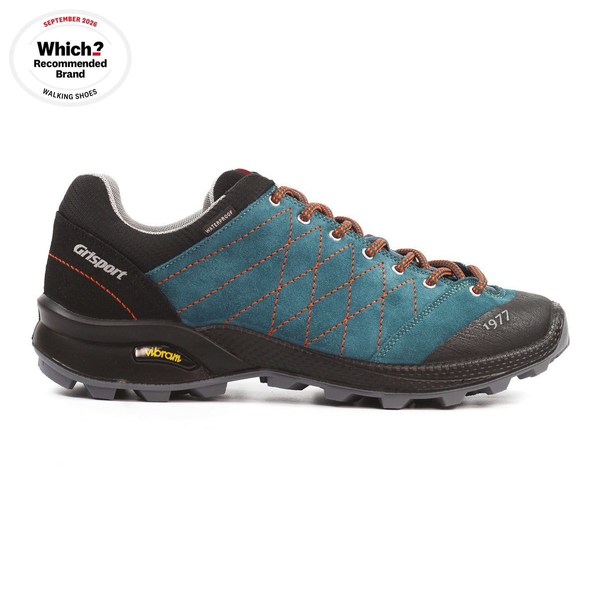 Argon Teal Walking Shoe