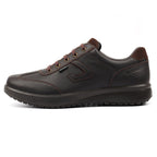 Bolsover Brown Active Shoe