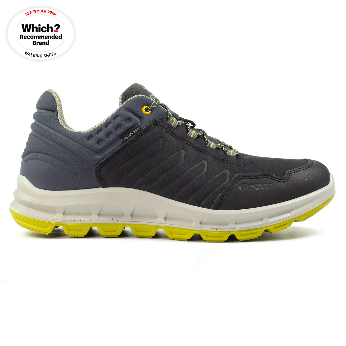 Challenger Blue Walking Shoe