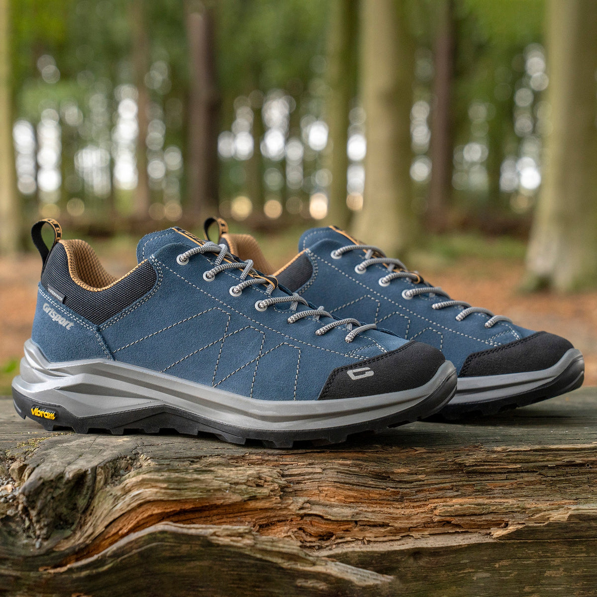 Elwood Blue Walking Shoe