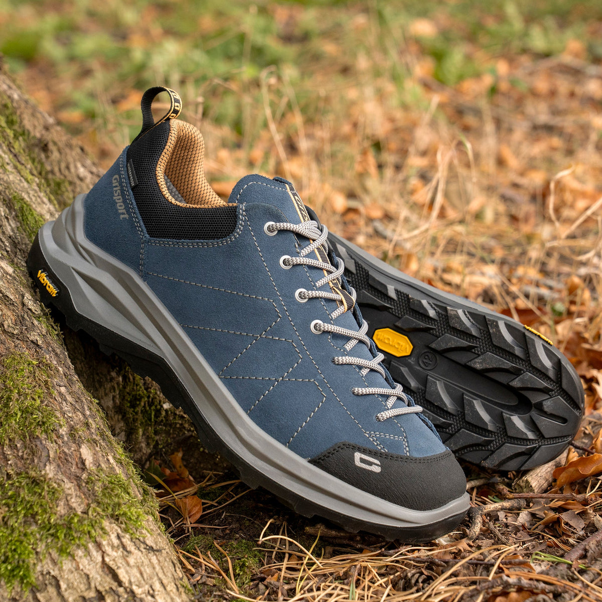 Elwood Blue Walking Shoe