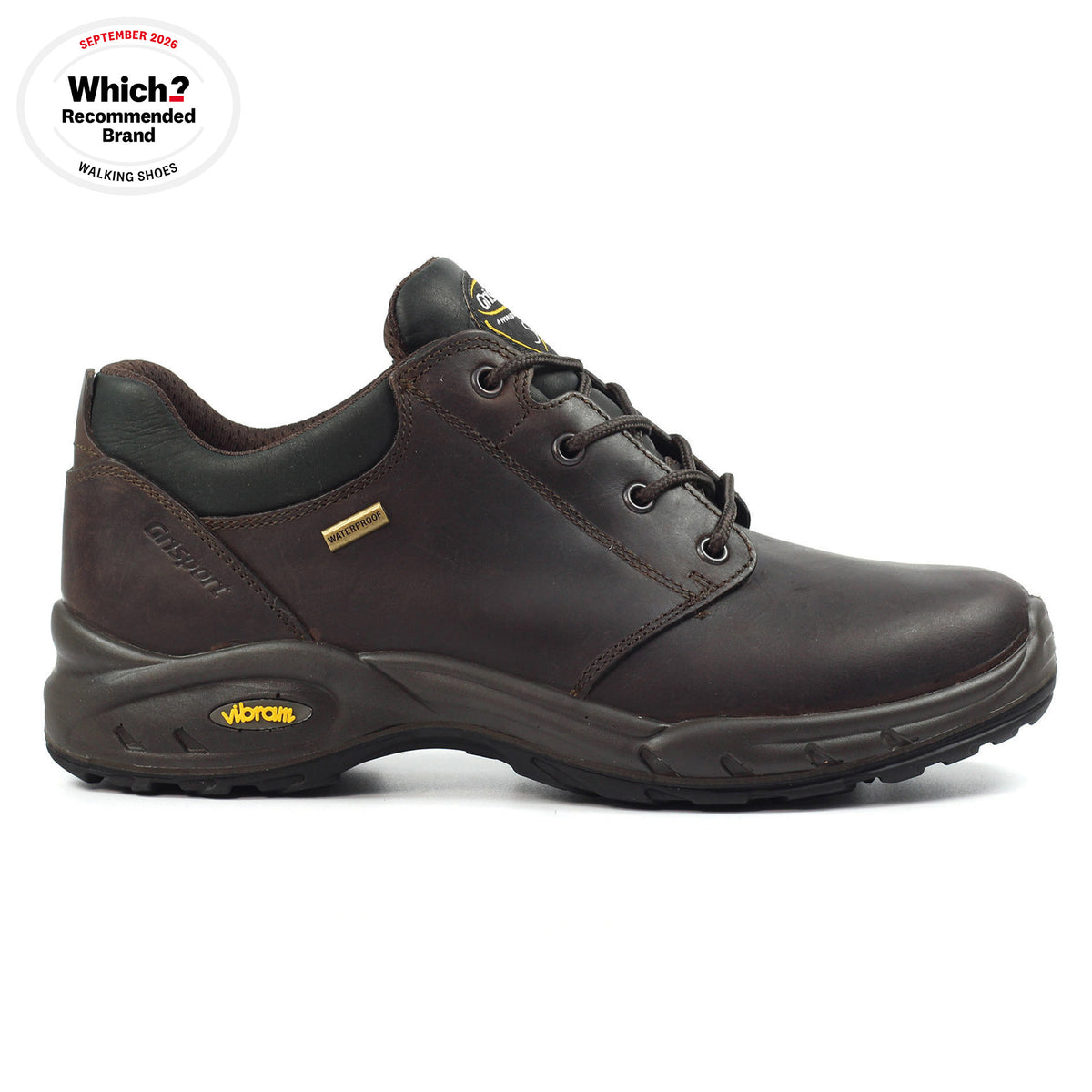 Exmoor II Brown Walking Shoe