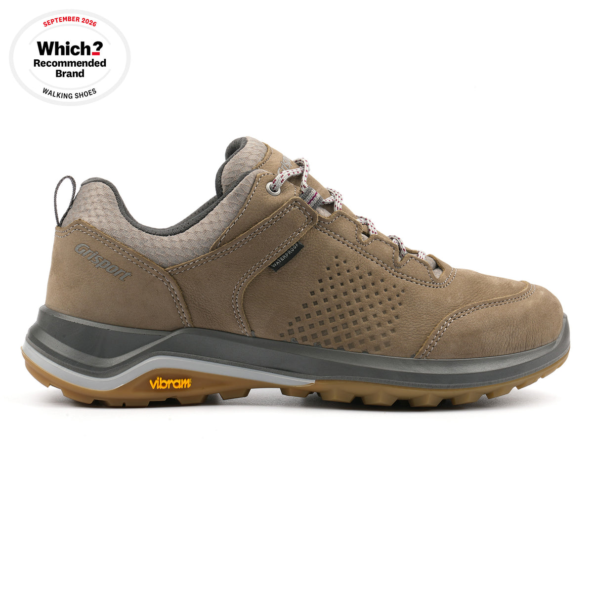 Icarus Walking Shoe