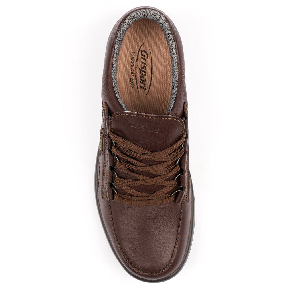 Kielder Walking Shoe