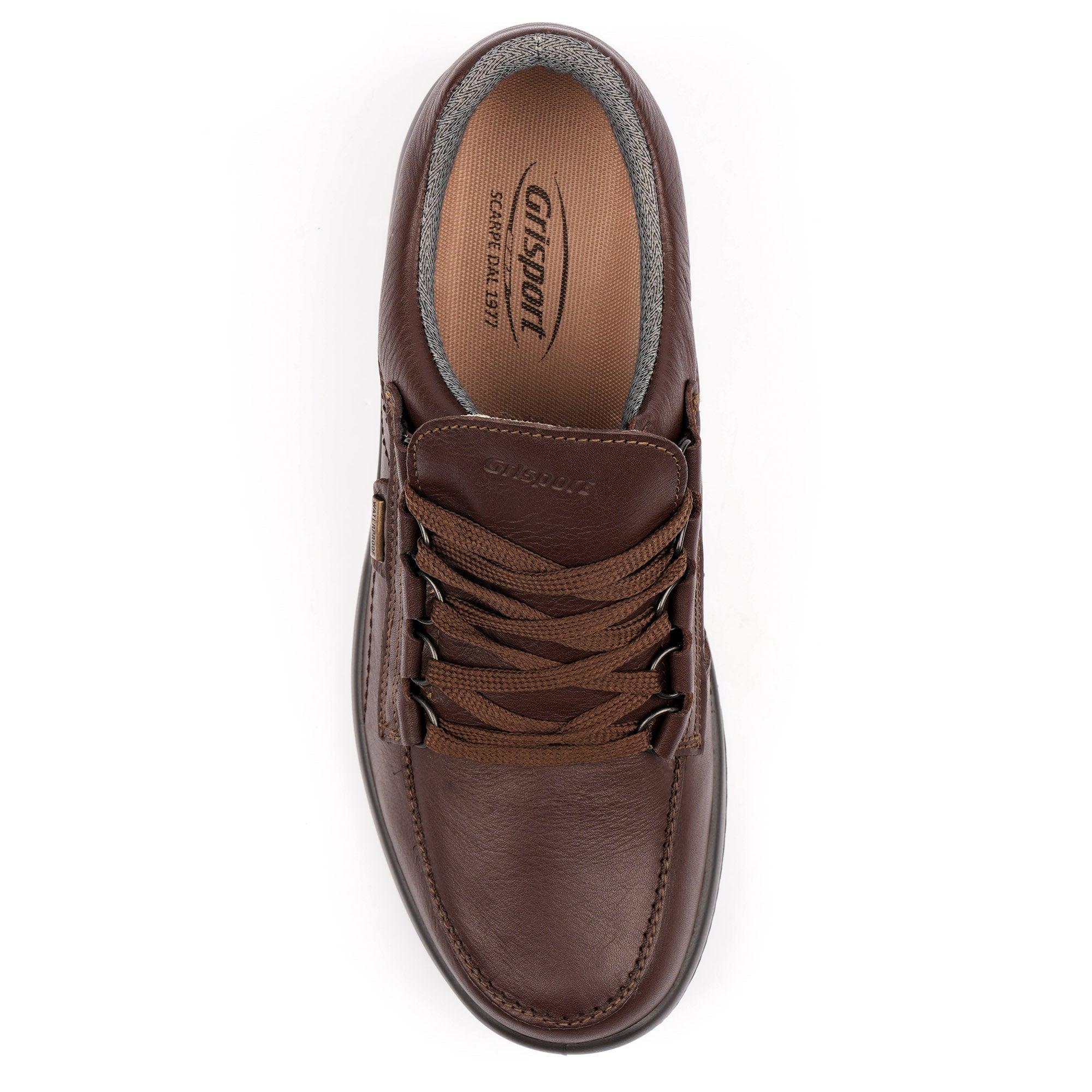 Kielder Walking Shoe