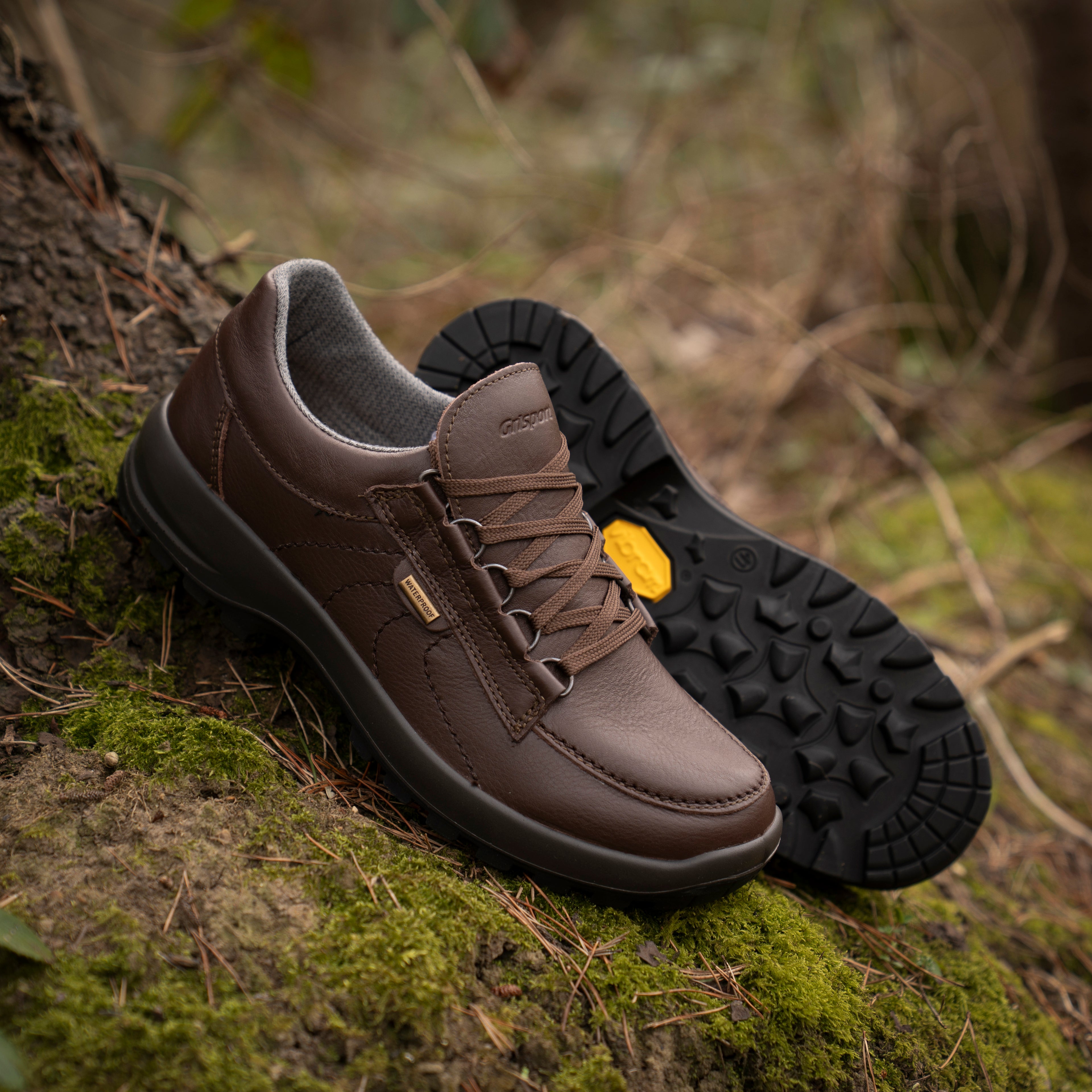 Kielder Walking Shoe