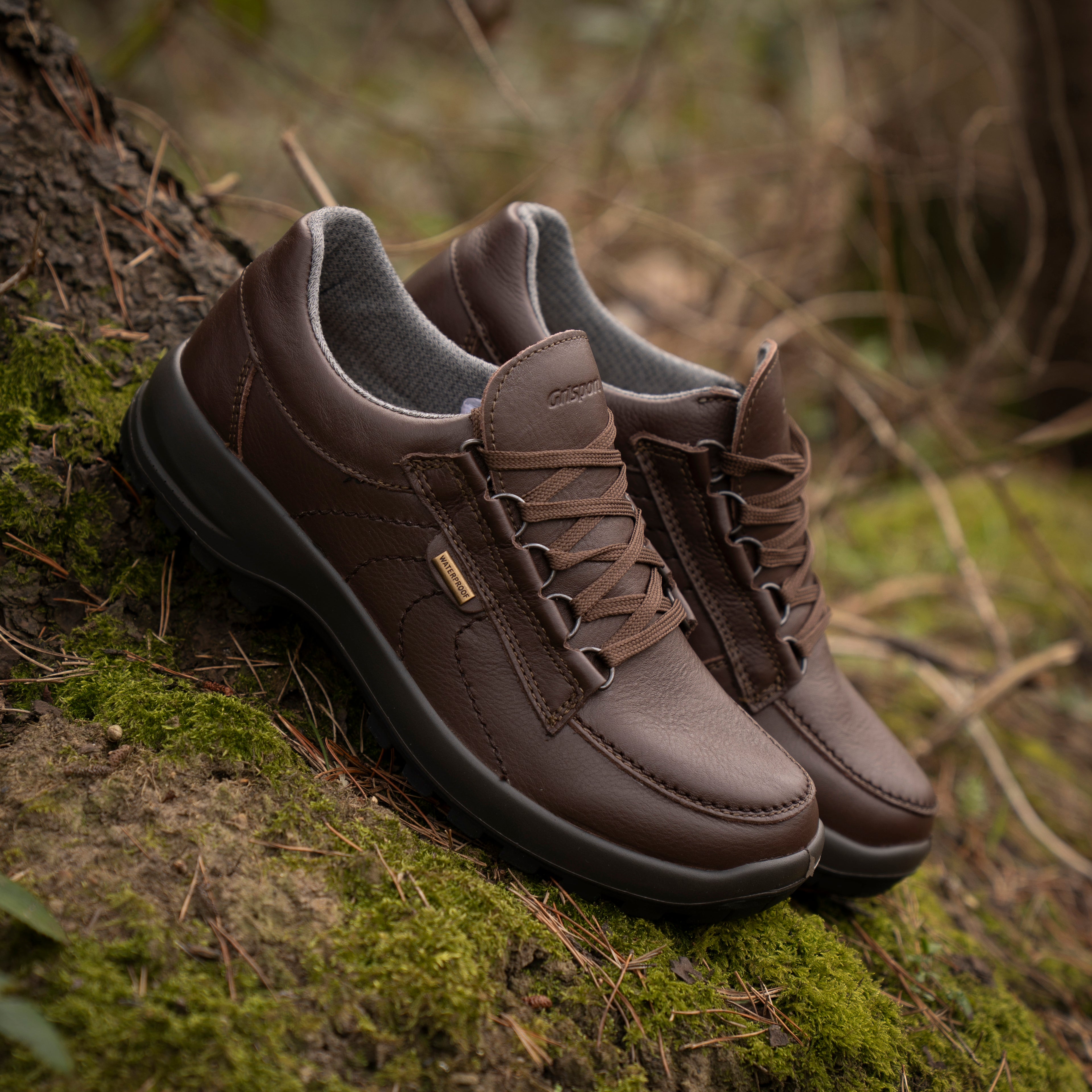Kielder Walking Shoe