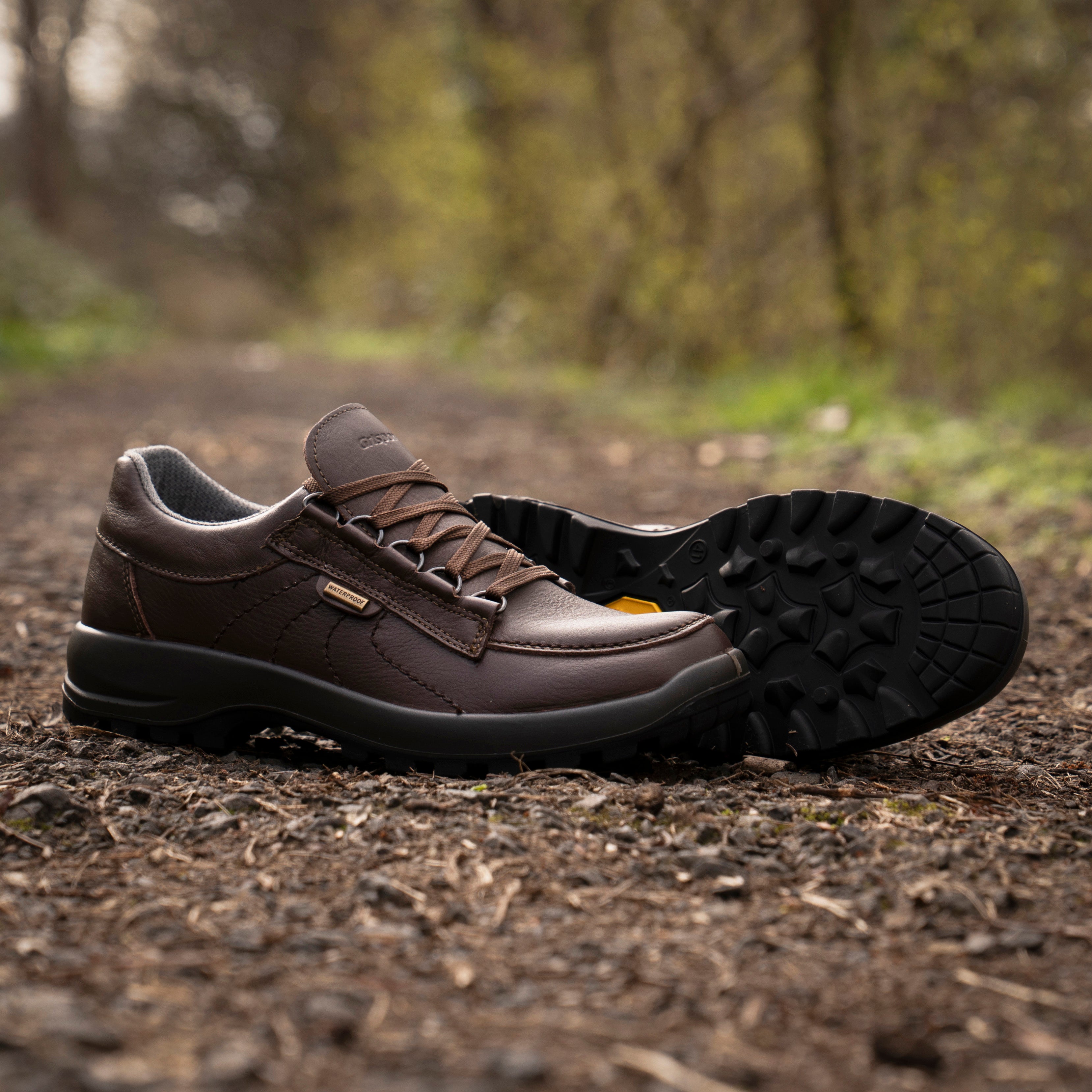 Kielder Walking Shoe