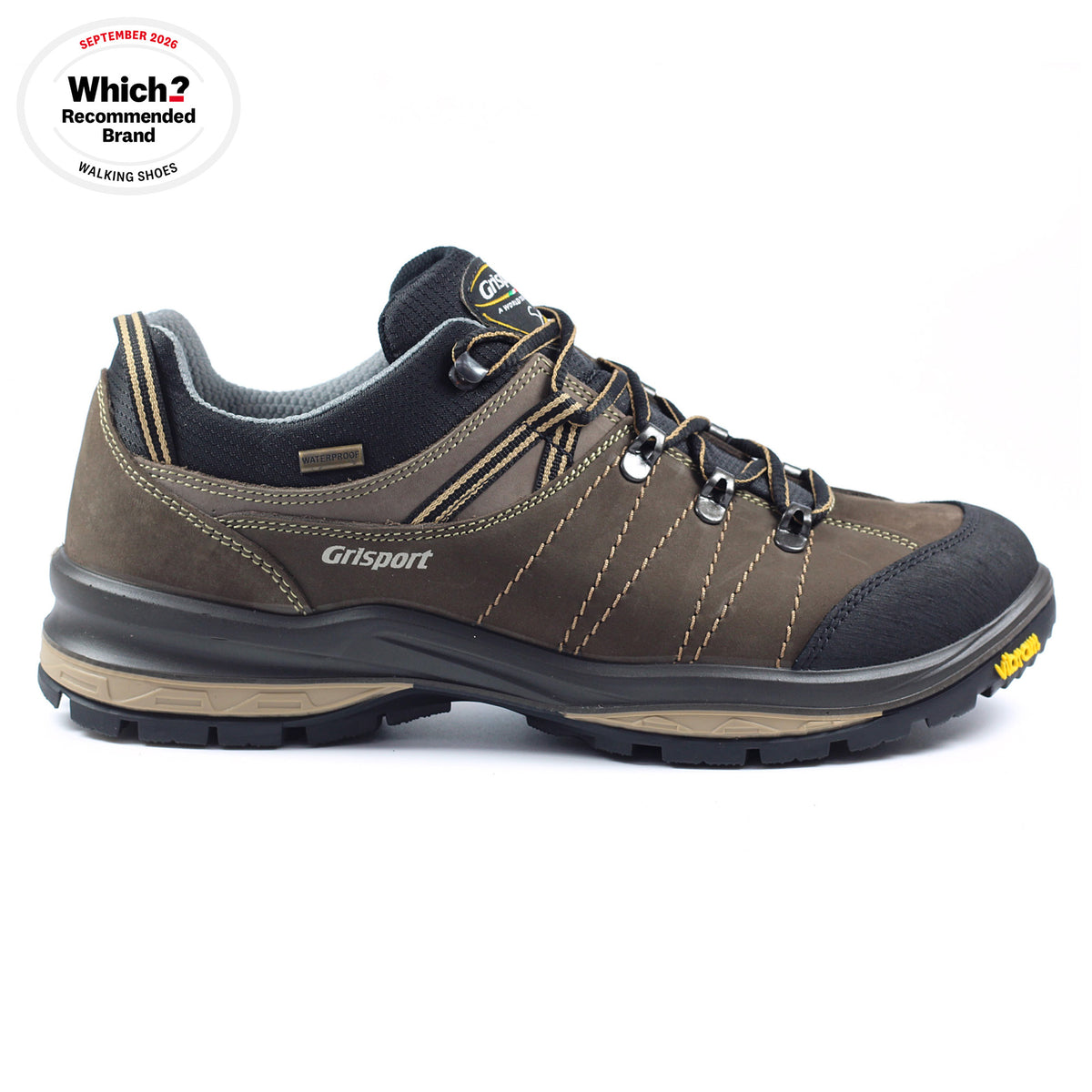 Rogue Trekking Shoe