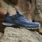 Spur Navy Walking Shoe