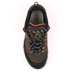 Spur Grey Walking Shoe